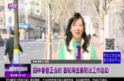 园林春整正当时 首轮病虫害防治工作启动